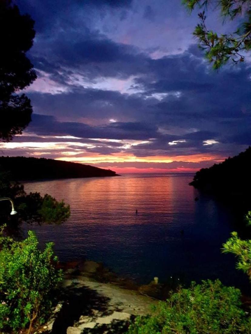Terra Nostra Hvar Apartment
