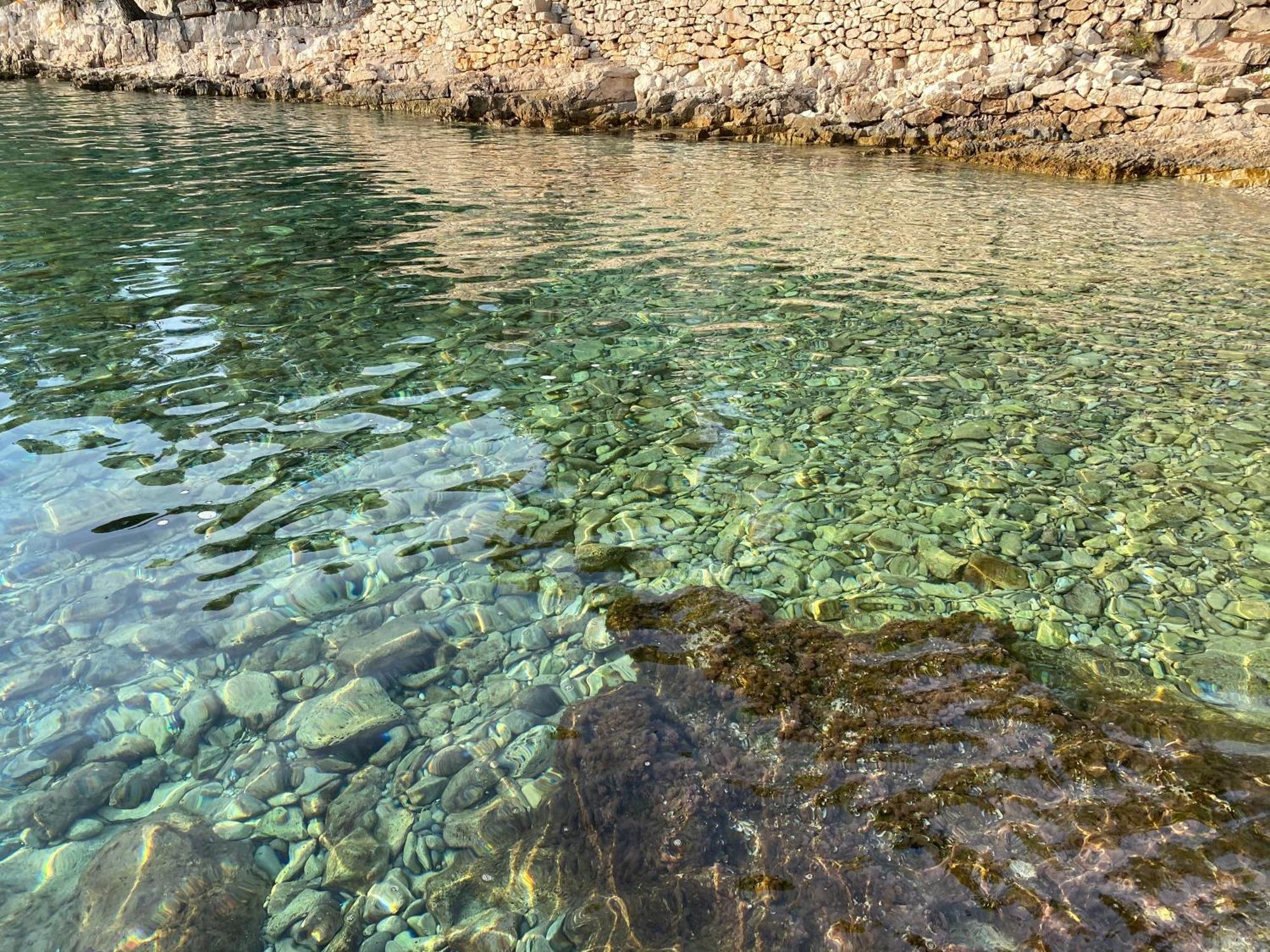 Terra Nostra Hvar