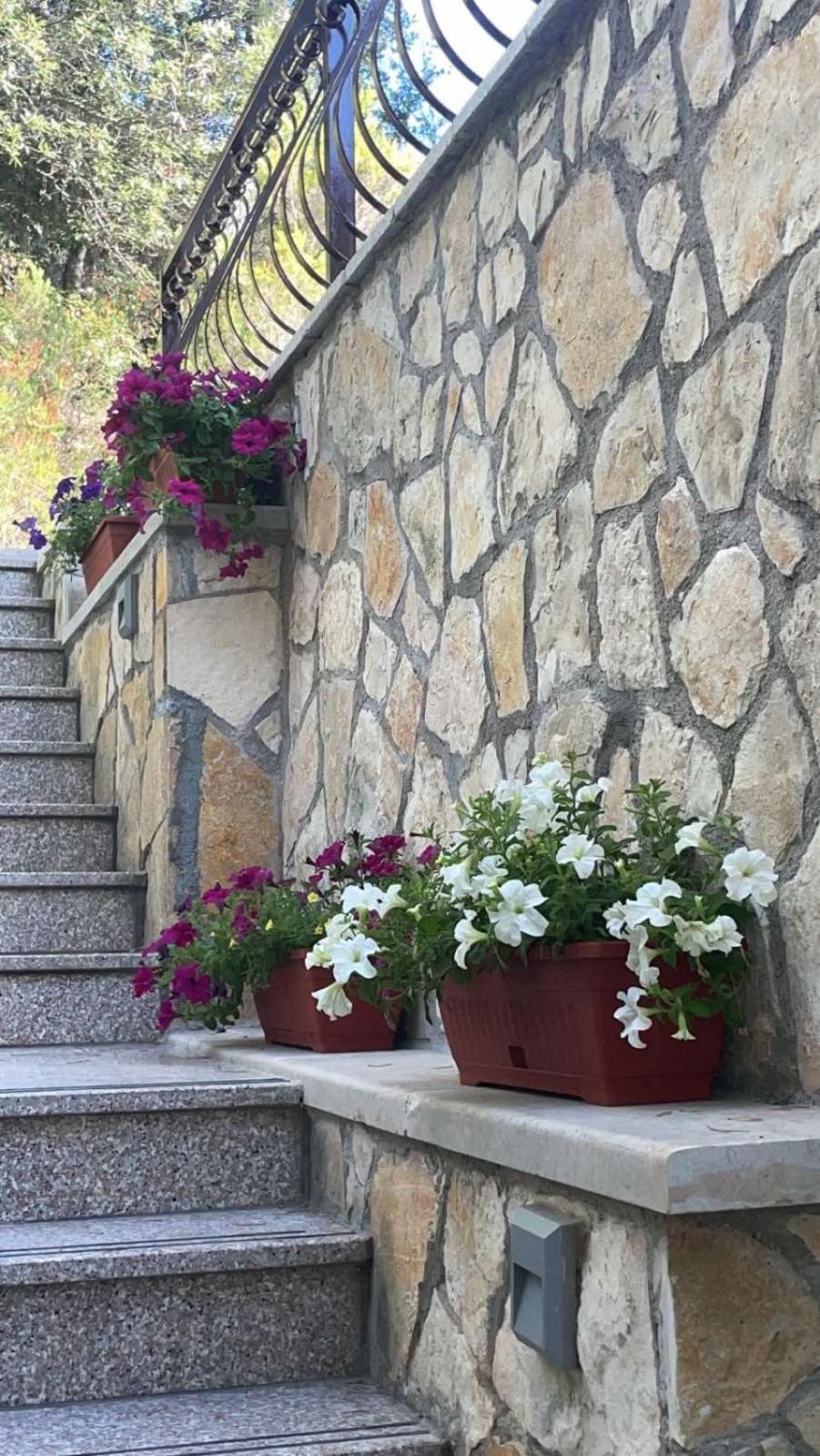 Apartment Terra Nostra Hvar Hvar Town