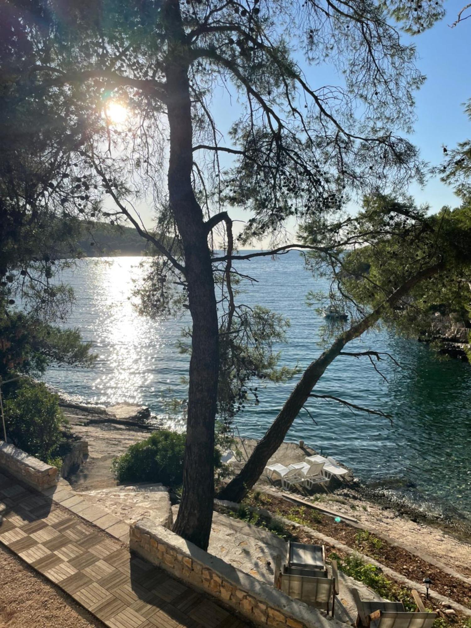 Apartment Terra Nostra Hvar