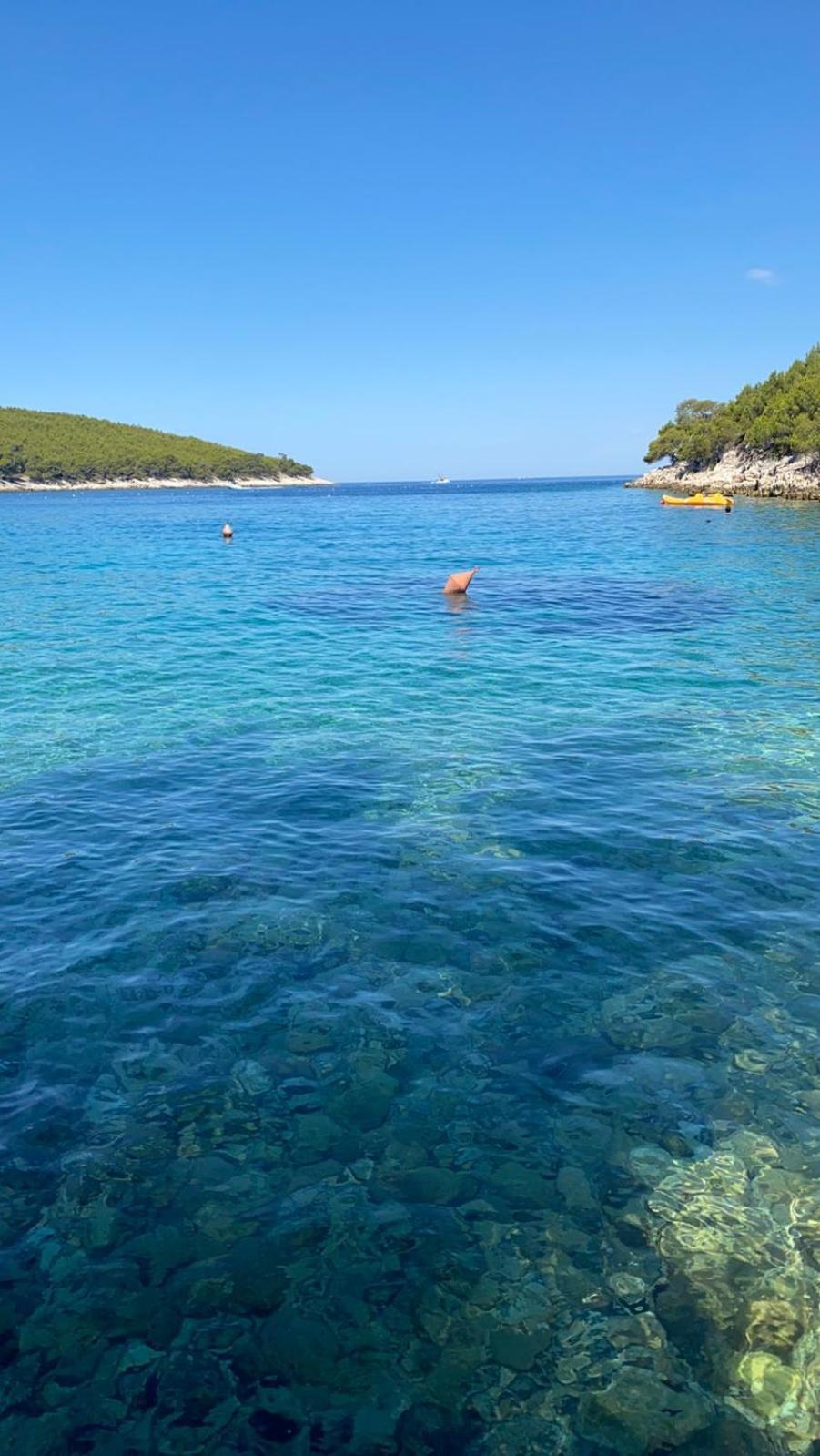 Apartment Terra Nostra Hvar *